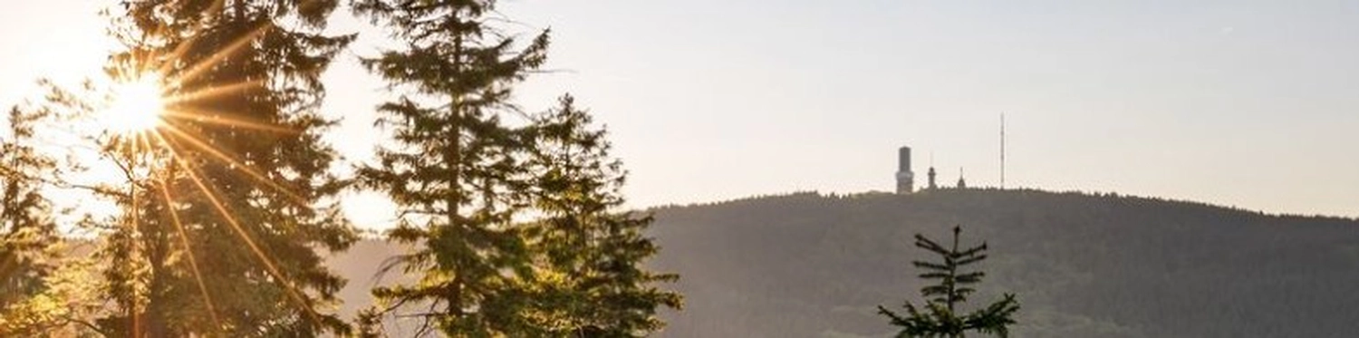 Kanzlei LL.B., LL.M., MDE, StFA - Unternehmensberatung, Laufende Buchführung und Lohnabrechnungen - Blick auf den bewaldeten Brockengipfel im Nationalpark Harz, Deutschland, mit Telekommunikationstürmen und einem Gebäude, gesehen durch Kiefern im Vordergrund.